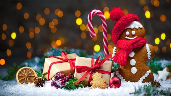 christmas hours the city of newcastle gymnastics academythe city