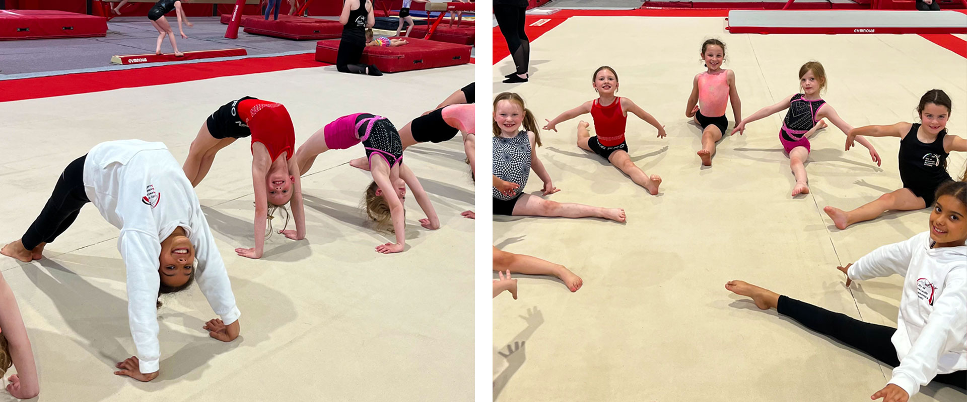 general-gymnastics-alternative general-gymnastics-alternative